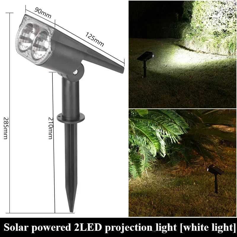 Solar Spotlight