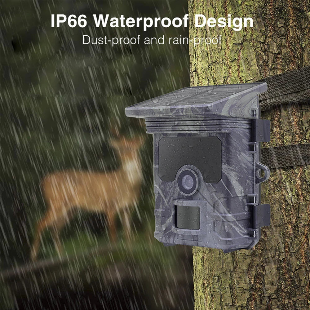 Solar Wildlife 50MP 4K Video Trail Camera Night Vision