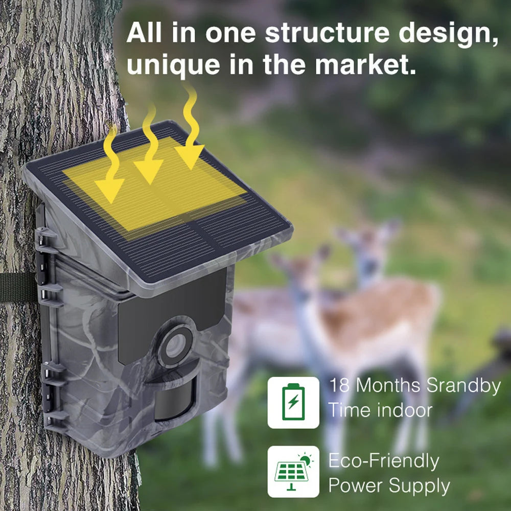 Solar Wildlife 50MP 4K Video Trail Camera Night Vision