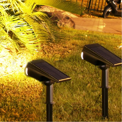Solar Spotlight