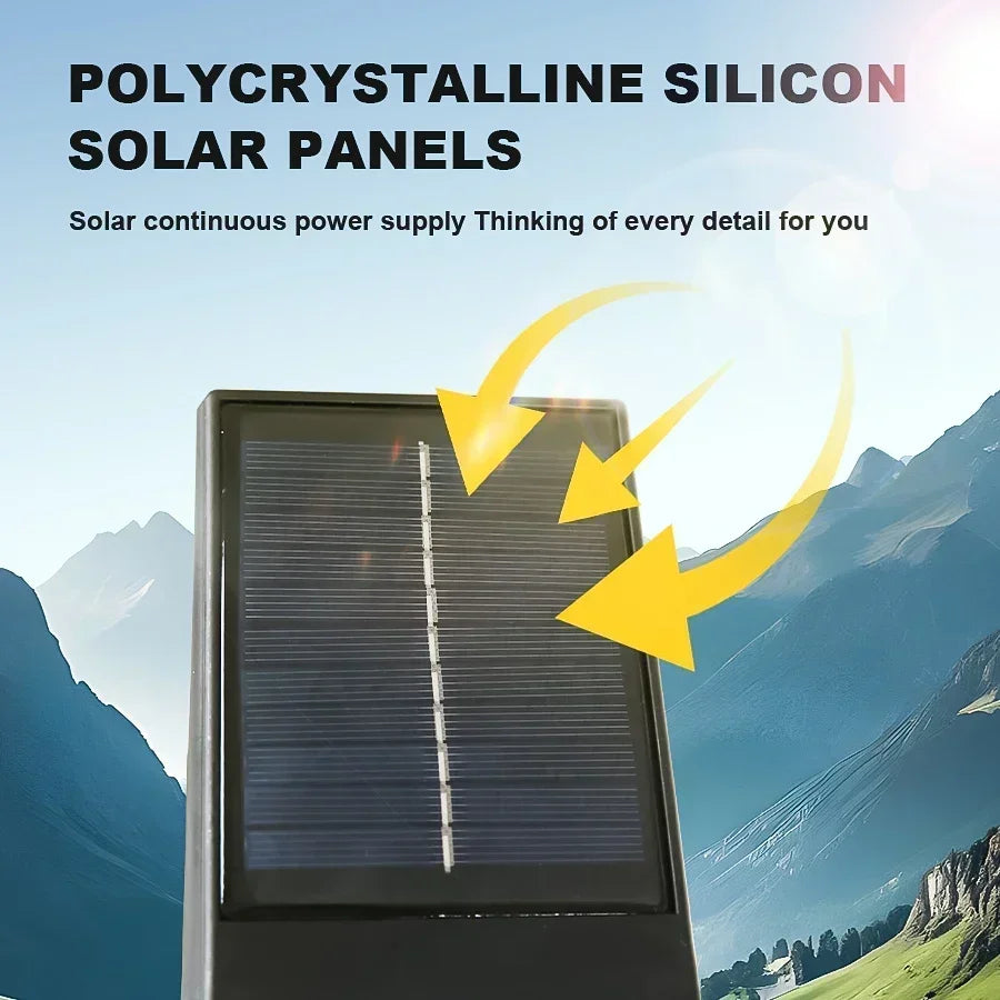 Solar Spotlight